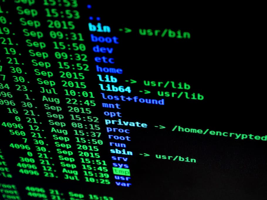 Become a programmer