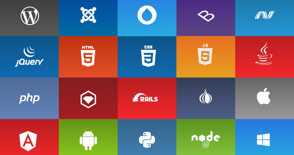 Top 5 Python Web App Frameworks for Beginners